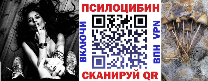 как найти   Татарск  Галлюциногенные грибы Psilocybe 